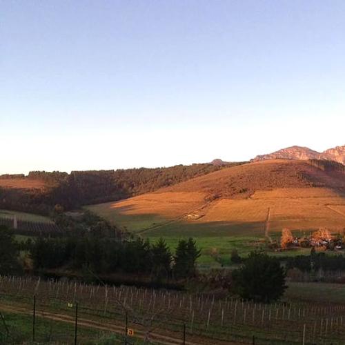 https://www.wineries.co.za/static/3467/image5__scale_and_crop__500x500.jpg