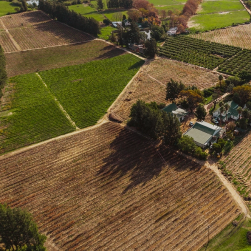 https://www.wineries.co.za/static/3469/DEkkersvlei-2025-2__scale_and_crop__500x500.png