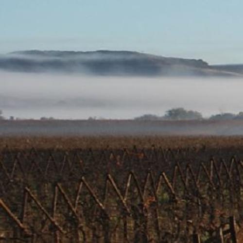 https://www.wineries.co.za/static/3471/Banner.W__scale_and_crop__500x500.jpg