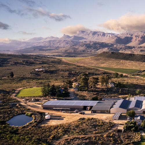 https://www.wineries.co.za/static/3482/cederberg__scale_and_crop__500x500.jpg
