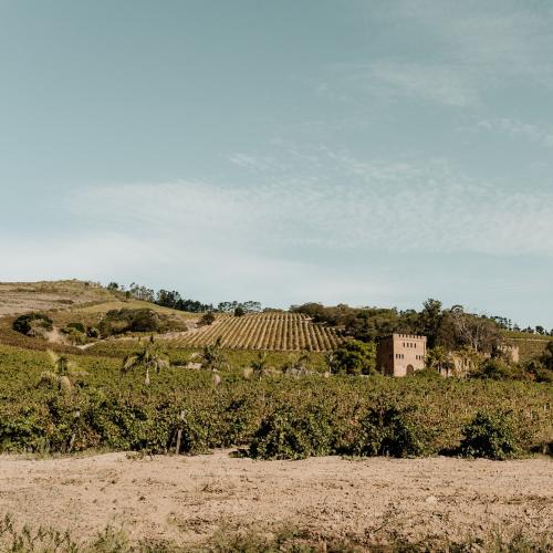 https://www.wineries.co.za/static/3493/fortsimon12345__scale_and_crop__500x500.jpg