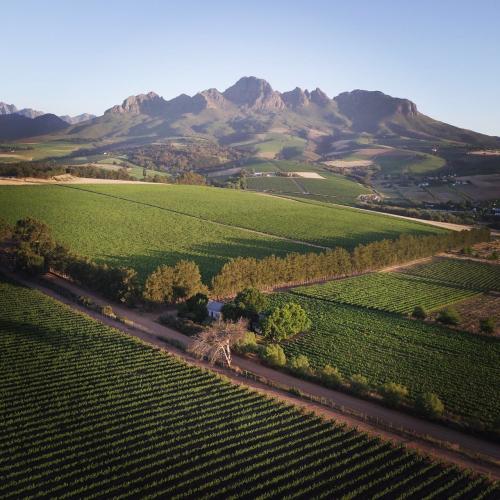 https://www.wineries.co.za/static/3499/drone__scale_and_crop__500x500.jpg