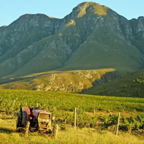 https://www.wineries.co.za/static/3513/lismoreprimary__scale_and_crop__500x500.jpg