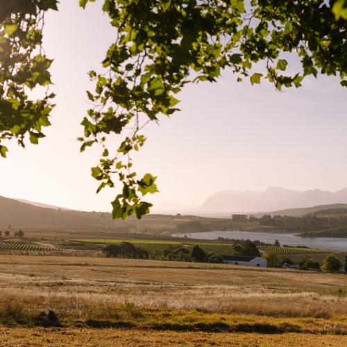 https://www.wineries.co.za/static/3515/hasherprimary__scale_and_crop__500x500.jpg
