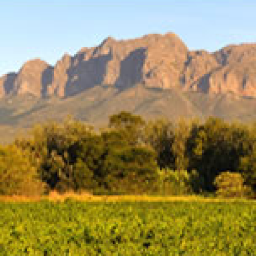https://www.wineries.co.za/static/3523/20260604_06h45m02s_grim__scale_and_crop__500x500.png