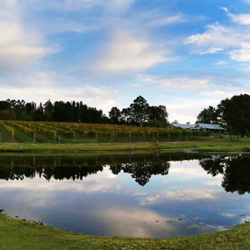 https://www.wineries.co.za/static/3525/Luka_Vineyards_720x__scale_and_crop__500x500.png