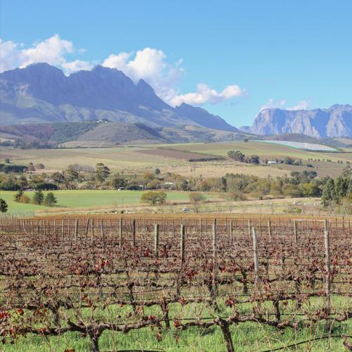 https://www.wineries.co.za/static/3527/Stellenbosch-Mountain-Views-From-Kanu-Wine-Farm__scale_and_crop__500x500.jpg