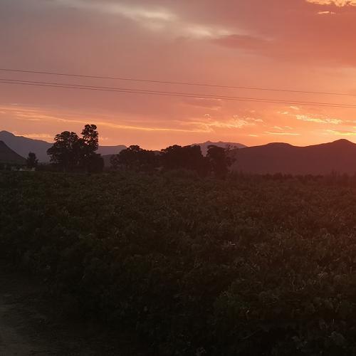 https://www.wineries.co.za/static/3540/main-head_kr__scale_and_crop__500x500.jpg