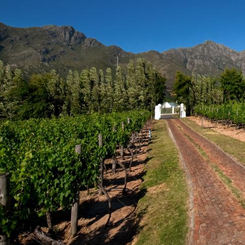 https://www.wineries.co.za/static/3544/lagaliniere__scale_and_crop__500x500.jpg