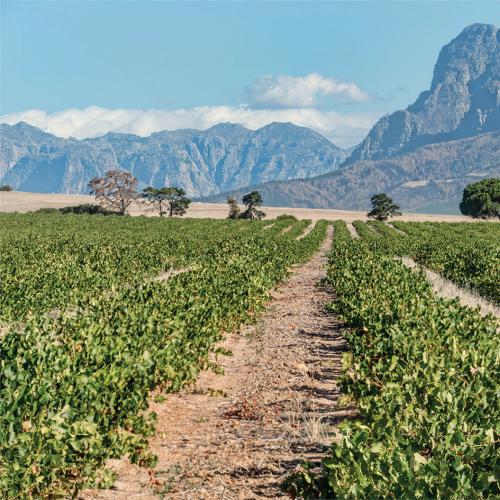 https://www.wineries.co.za/static/3556/man_hp_2_d__scale_and_crop__500x500.jpg