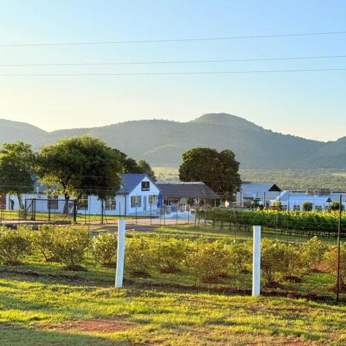 https://www.wineries.co.za/static/3568/hazonMainm__scale_and_crop__500x500.jpg