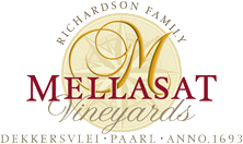 Mellasat Logo