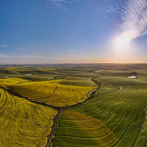 https://www.wineries.co.za/static/3608/Meerhof-aerial-view-1__scale_and_crop__500x500.jpg