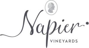 Napier Vineyards Logo