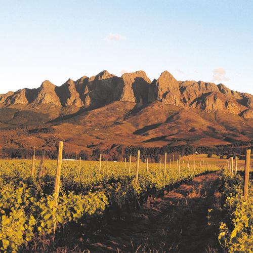 https://www.wineries.co.za/static/3627/napier-primary__scale_and_crop__500x500.jpg