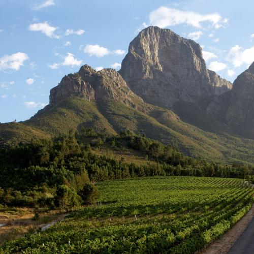 https://www.wineries.co.za/static/3634/normandie-primary__scale_and_crop__500x500.jpg