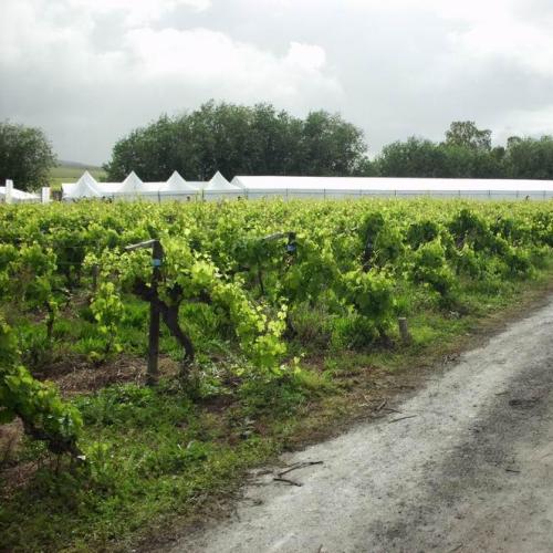 listing-details-carousel