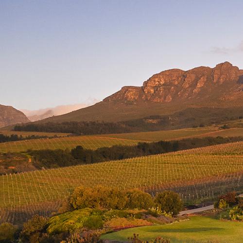Ernie Els Wines Image