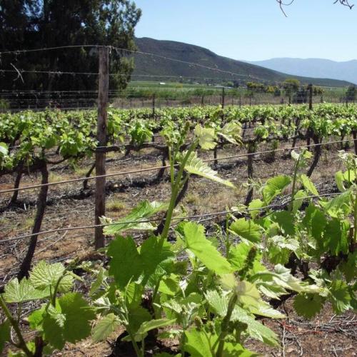 listing-details-carousel