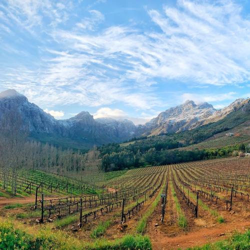 https://www.wineries.co.za/static/3729/re1__scale_and_crop__500x500.jpg