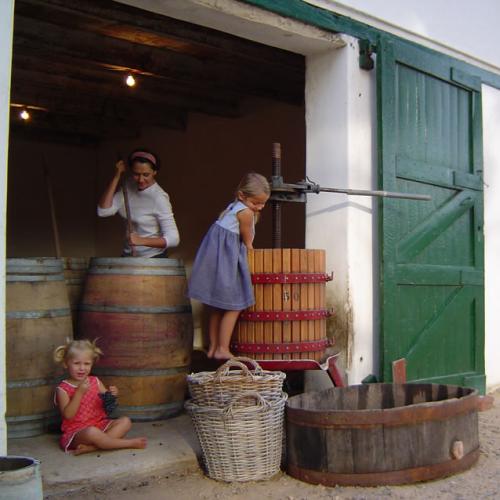 Super Single Vineyards Image