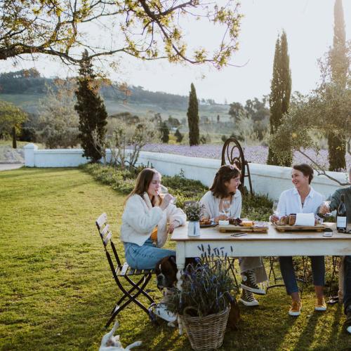 Super Single Vineyards Image