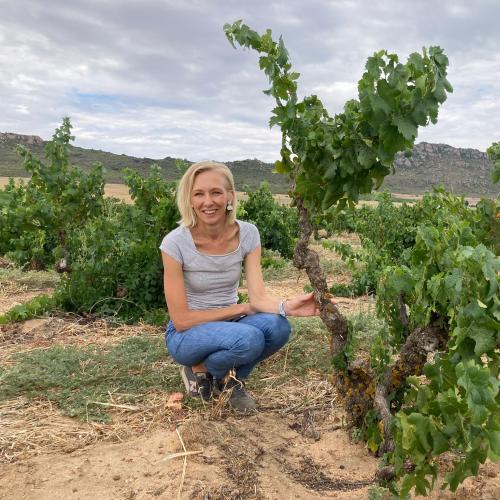 Nuiba Wines Image