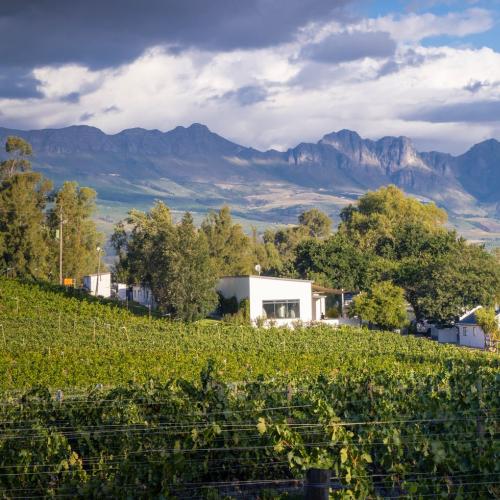 Tempel Wines Image