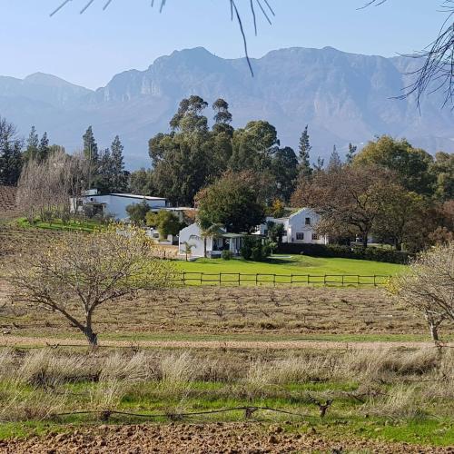 Tempel Wines Image
