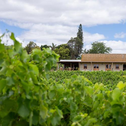 Arendsig Wines Image