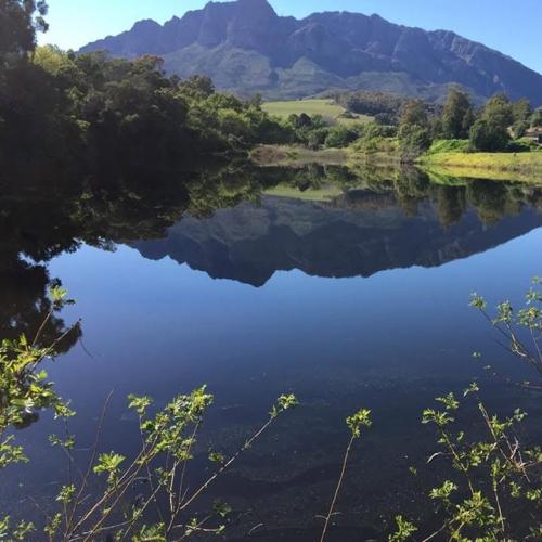 Mont du Toit Image