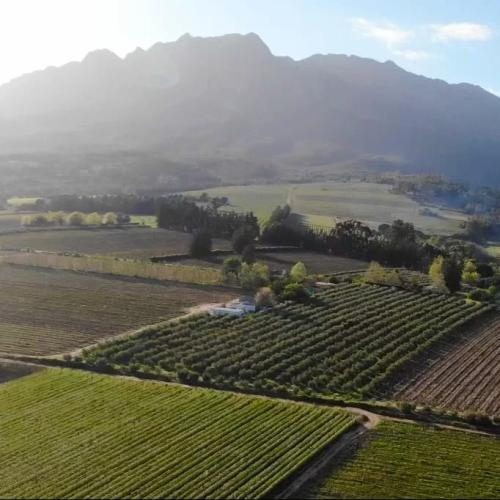 Mont du Toit Image
