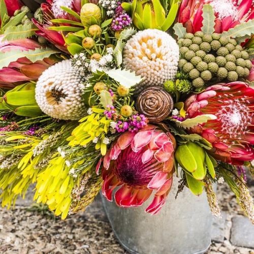 listing-details-carousel