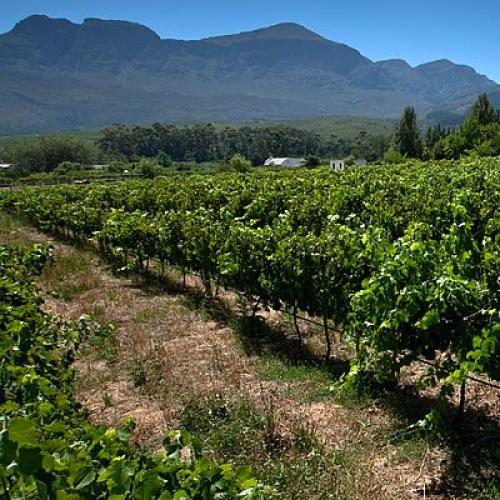 listing-details-carousel