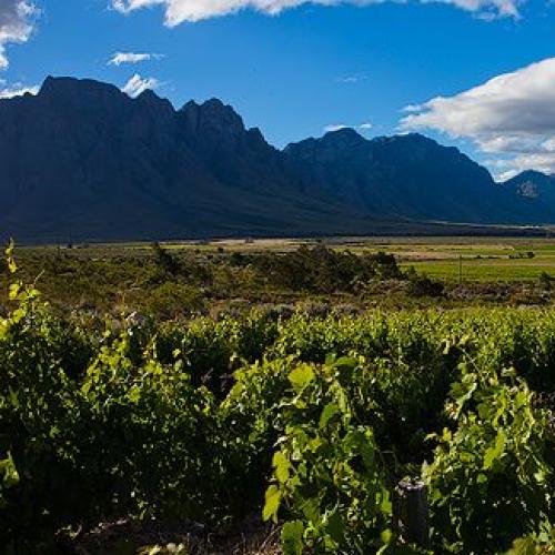 listing-details-carousel