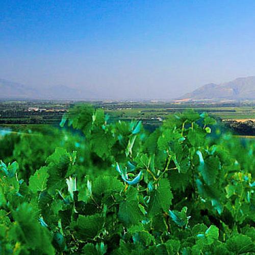 listing-details-carousel