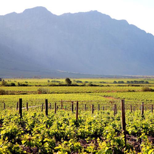 listing-details-carousel