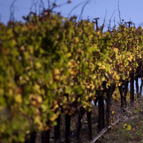 listing-details-carousel