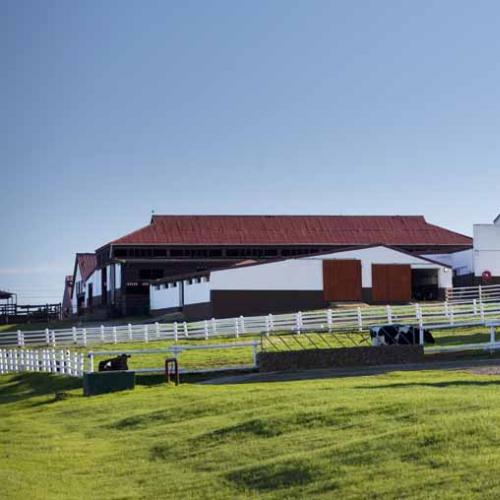 listing-details-carousel