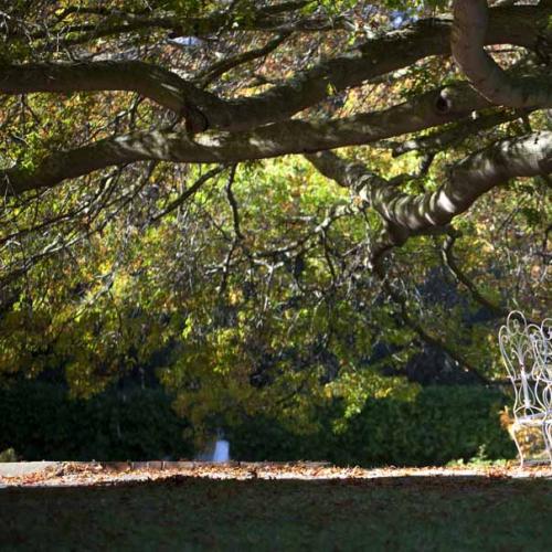 listing-details-carousel