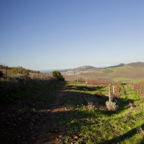 listing-details-carousel