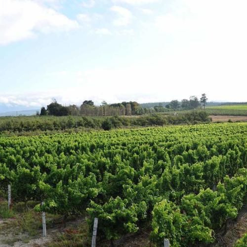 listing-details-carousel