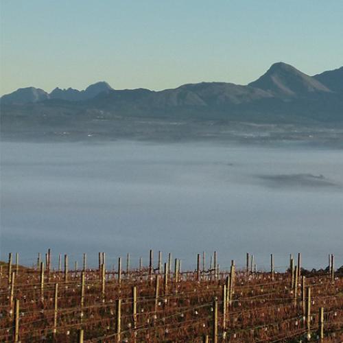 listing-details-carousel