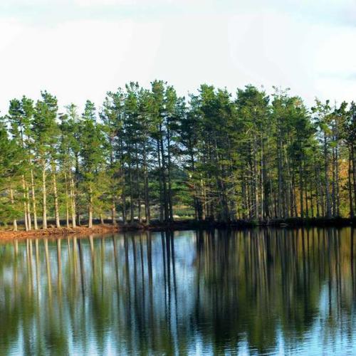 listing-details-carousel